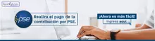 Banner_PSE_ex