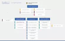 Organigrama