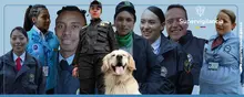 banner sección boletines de prensa nuevo logo supervigilancia