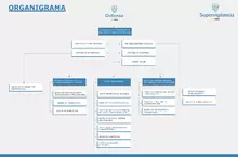 organigrama nuevos logos julio 2024