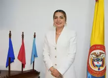 Delegada para el control