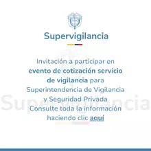 licitación servicio de vigilancia enero 2025