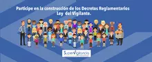 ley vigilante 2