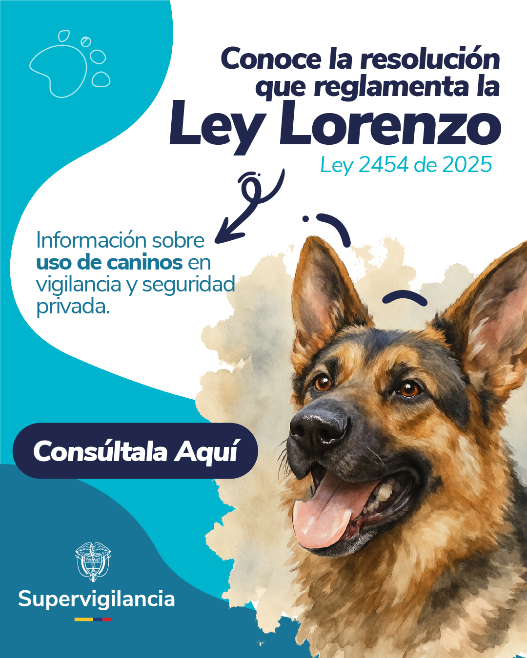 Ley Lorenzo