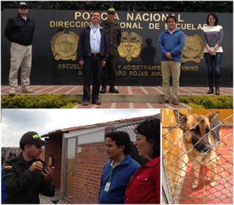 Para fortalecer su misión, SuperVigilancia participa en actividad sobre manejo de caninos