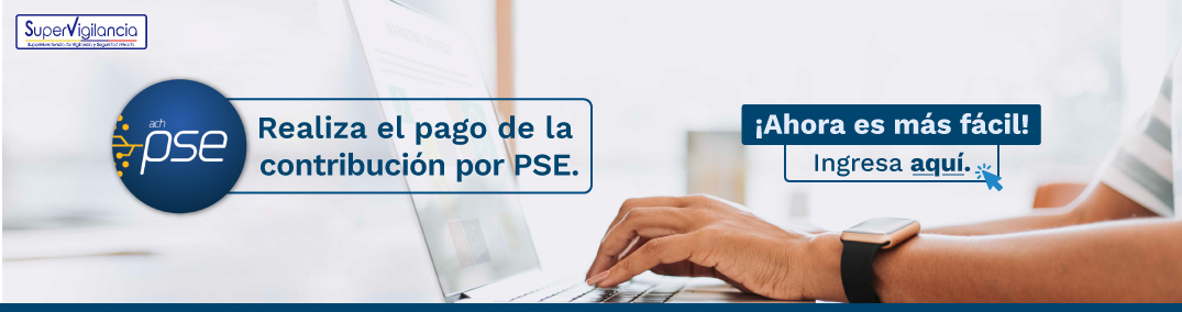 Guía para realizar pagos en linea